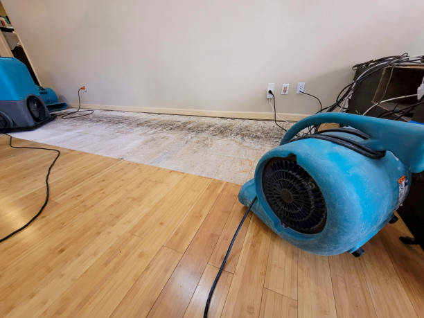 Professional Basement Flood Cleanup technician working in Lebanon, IL